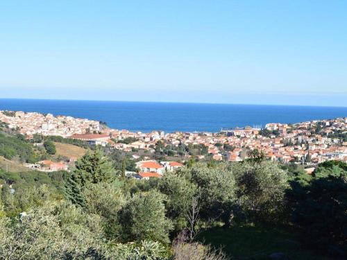 Maison Banyuls-sur-Mer, 5 pièces, 8 personnes - FR-1-225C-470