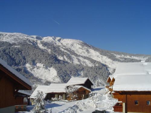 Charmant 3 pieces pour 4 a Meribel Village, proche pistes - FR-1-411-256 in Meribel Village