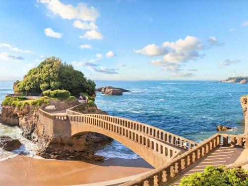 Appartement Biarritz 1 pièce 3 personnes - FR-1-3-483 - image 8