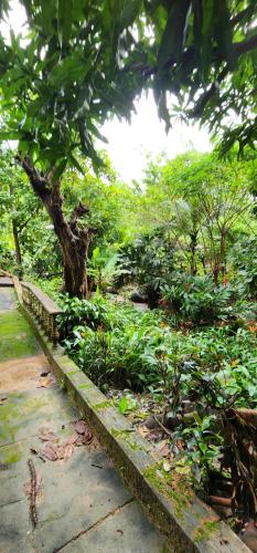 Hostel Finca La Gordita – Riohacha, IN