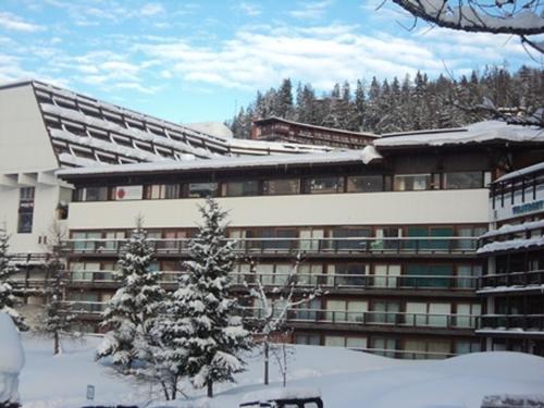Studio 3 pers, balcon, proche pistes et commerces, animaux acceptés - FR-1-411-493, Arc 1600 (photo 6)
