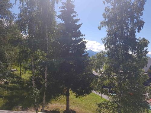 Studio ski aux pieds Arc 1600, 4 pers, animaux admis - FR-1-411-452, Лез-Арк-1600 (фото 4)