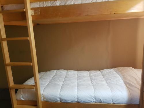 Studio ski aux pieds Arc 1600, 4 pers, animaux admis - FR-1-411-452, Лез-Арк-1600 (фото 6)