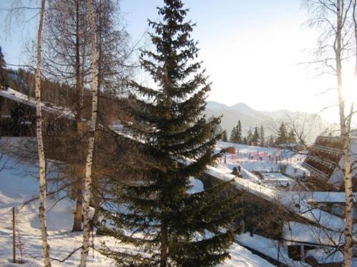 Appartement Les Arcs 1600 1 pièce 4 personnes - FR-1-411-454 - image 13