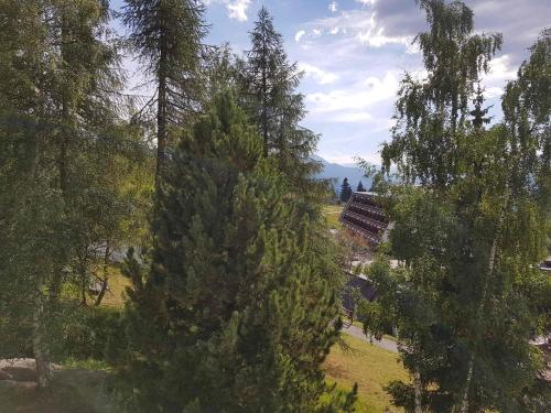 Appartement Les Arcs 1600 1 pièce 4 personnes - FR-1-411-454 - image 14