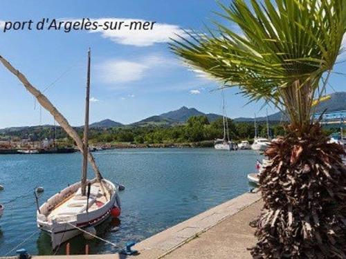 Appartement Argelès-sur-Mer, 2 pièces, 4 personnes - FR-1-225-667