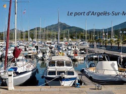 Appartement Argelès-sur-Mer, 2 pièces, 4 personnes - FR-1-225-667