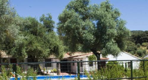 Casa Abanto, Ronda (photo 5)