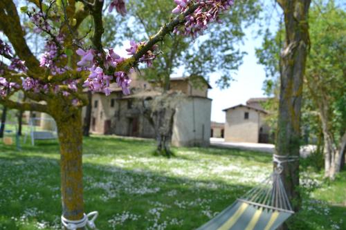  Agriturismo Nestore, Nestore bei Monte Santa Maria Tiberina