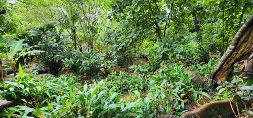 Hostel Finca La Gordita – Riohacha, IN