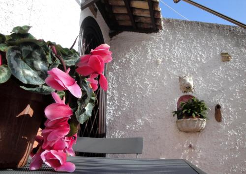Borgo Pio Holiday, Rome (photo 5)