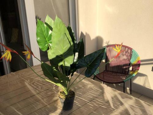 Appartement Le Lavandou 2 pièces 4 personnes - FR-1-610-33 - image 6