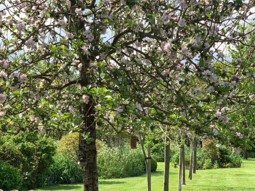 The Cider Shed Bed and Breakfast