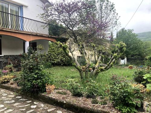 Appartement Prats-de-Mollo-la-Preste, 2 pièces, 5 personnes - FR-1-659-58 - Location saisonnière - Prats-de-Mollo-la-Preste