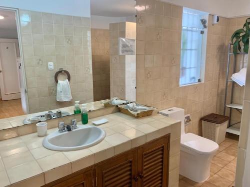 Lindos Apartamentos en San Isidro