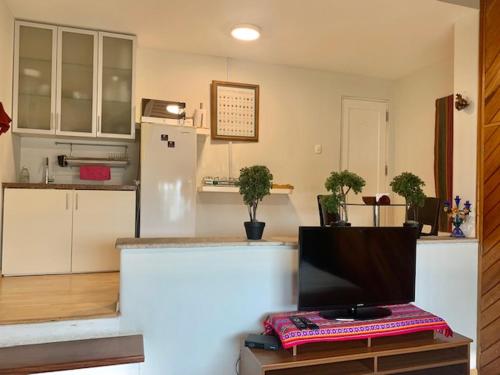 Lindos Apartamentos en San Isidro