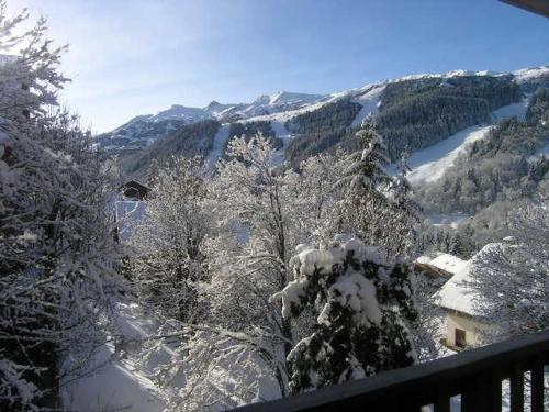 Duplex cosy 4/6 pers, proche telesiege et commerce, pkg couvert, casier a ski – Meribel - FR-1-180-5 in Morel