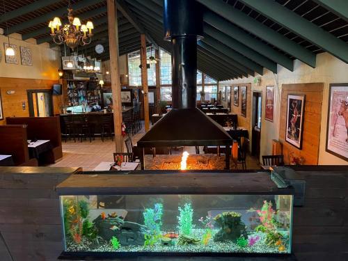 Shasta Inn - image 12