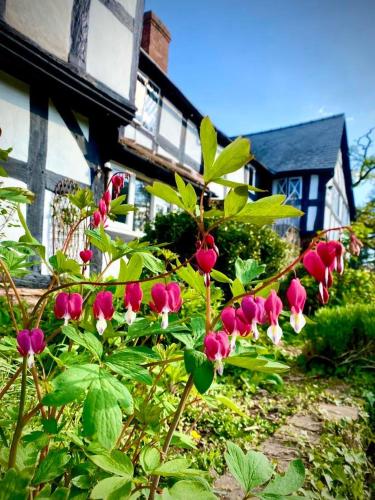 The Vauld, ensuite Country Accommodation with Bed and Breakfast in Wellington (Herefordshire)