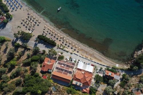 المنطقة المحيطة, Nereides Seaside Apartments in ساموس ايلاند