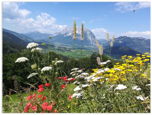  Bio- Erlebnis-Bauernhof-Thonnerhof in Aigen im Ennstal