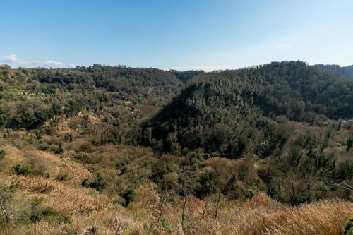 Opera Suites - Il sentiero della felicità