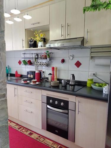 Hermoso y cómodo departamento para tus vacaciones
