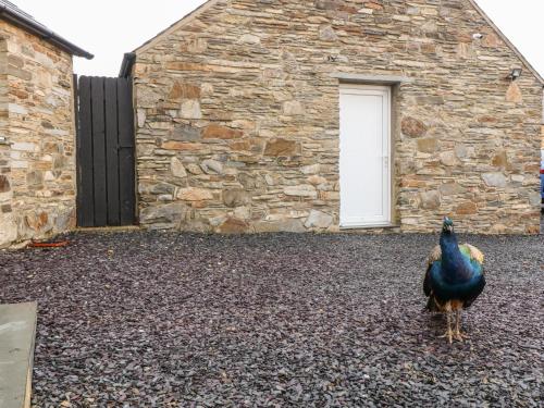 Garth Morthin The Barn - image 2