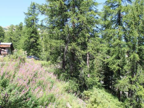 Appartement Vars 2 pièces 4 personnes - FR-1-330B-129 - main image