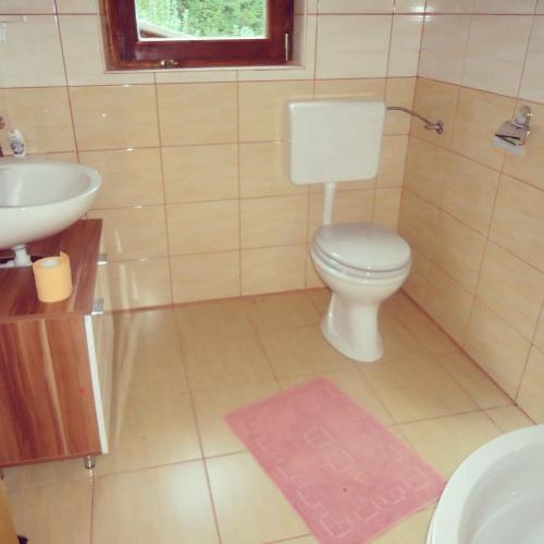 Bathroom, Apartment in Crnomelj - Kranjska Krain 26052 in Crnomelj