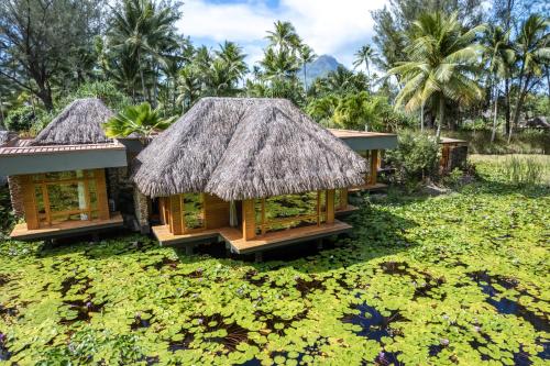 สปา, เลอ โบราโบรา บาย เพิร์ลรีสอร์ต (Le Bora Bora by Pearl Resorts) in เกาะโบราโบร่า