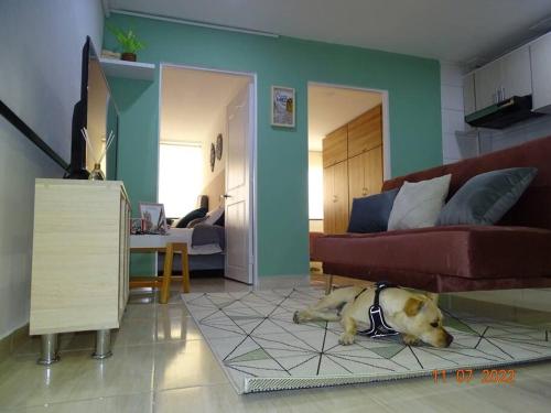 Acogedor apartamento en Fusagasugá