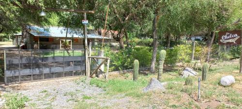 La Chelca, San Fernando del Valle de Catamarca (foto 3)