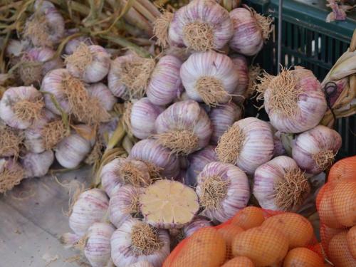 Appartement Le Lavandou 2 pièces 4 personnes - FR-1-251-218 - main image