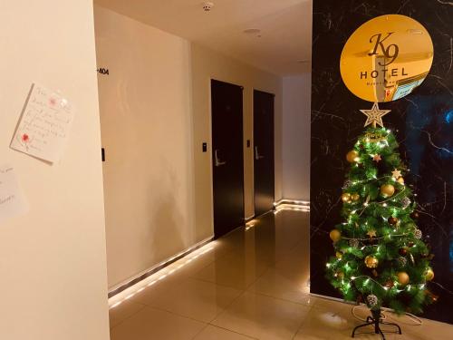 K9 Hotel Myeongdong  in Szöul