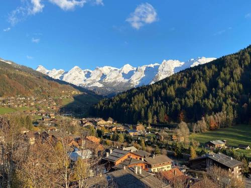 Appartement Le Grand-Bornand, 2 pièces, 6 personnes - FR-1-241-186