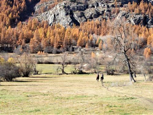 Appartement Serre Chevalier 3 pièces 8 personnes - FR-1-330F-71 - image 5