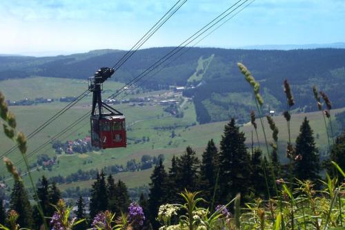 Ferienwohnung-Panoramablick in Sehmatal