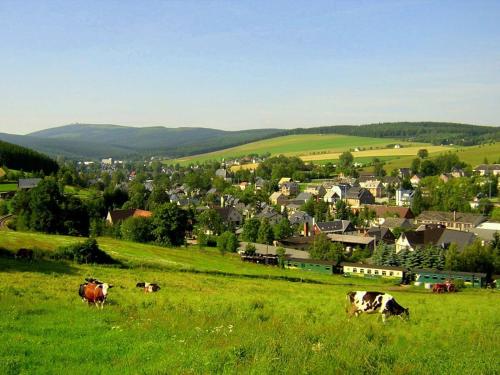 Ferienwohnung-Panoramablick