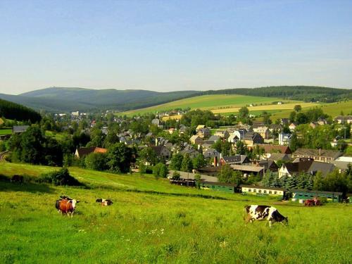 Ferienwohnung-Panoramablick in Sehmatal