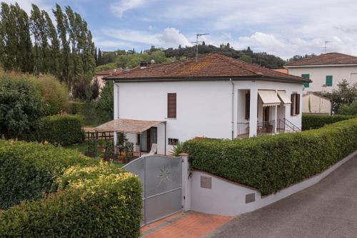 Villa Egola - Apartment - San Miniato