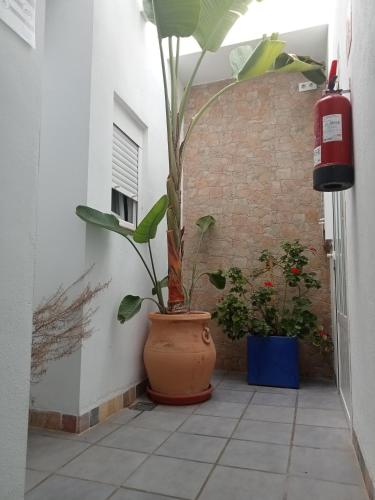  La Chanca in Conil de la Frontera