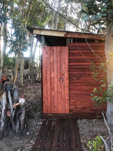 Suikerbekkie Bos in Uilenkraal