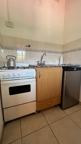 Kitchen, Apart Hotel Nonquen in Villa de Merlo