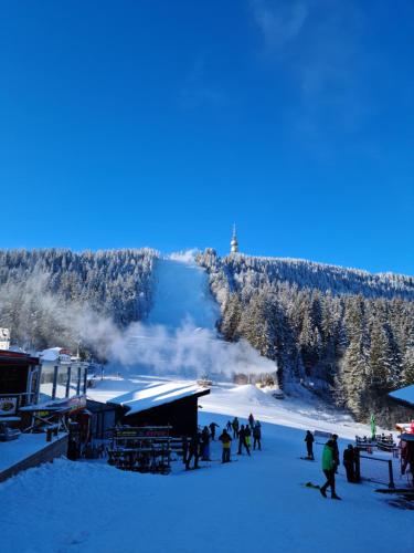Студиа Студенец, Smoljan (Foto 8)
