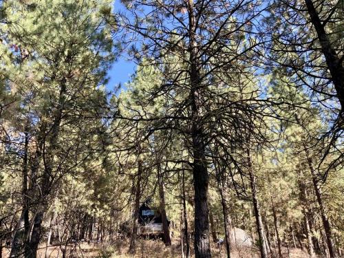 Mint Chip Cabin by Casago McCall - Donerightmanagement - image 8