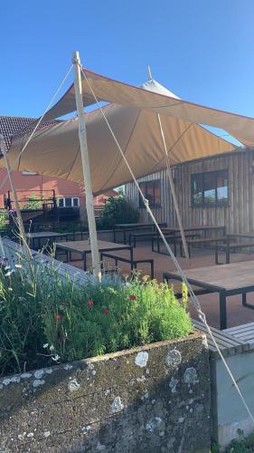 Beautiful Rural Yurt with Fire pit near Bruton - image 8