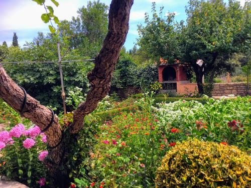  Holiday home Sandra in Žrnovo