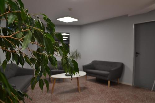 Hotel Skaut - image 6