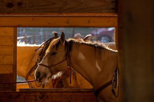 六牧场之心酒店 六牧场之心酒店